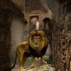 Meet your Posher, Felipe